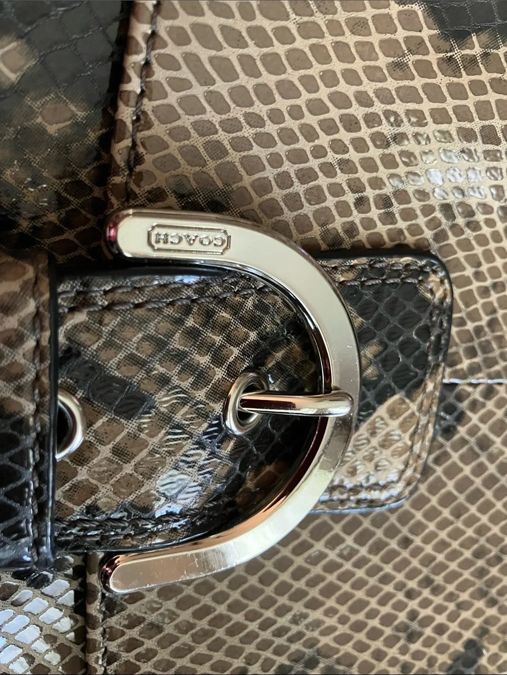 Coach snakeskin Purse